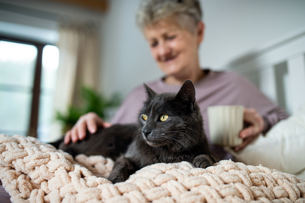 happy senior woman with cat