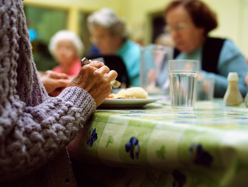 section 8 senior community barbecue