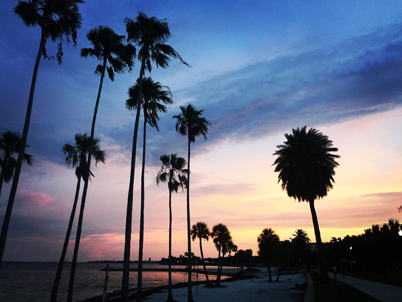 sunset along vinoy park in st petersburg fl